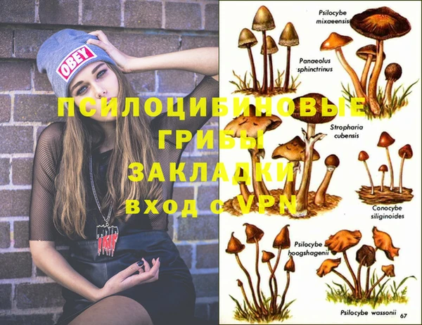 прущая мука Богородицк