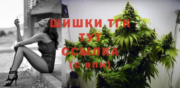 2c-b Богданович